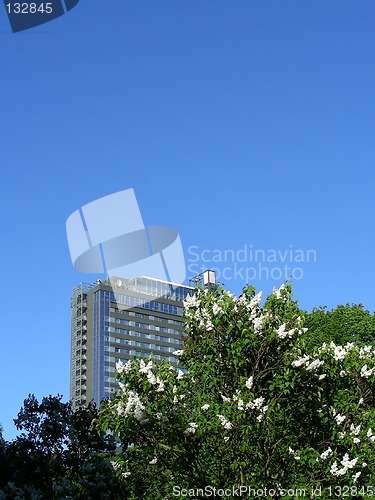 Image of skyscraper in bloom