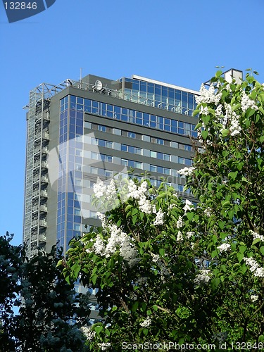 Image of skyscraper in spring