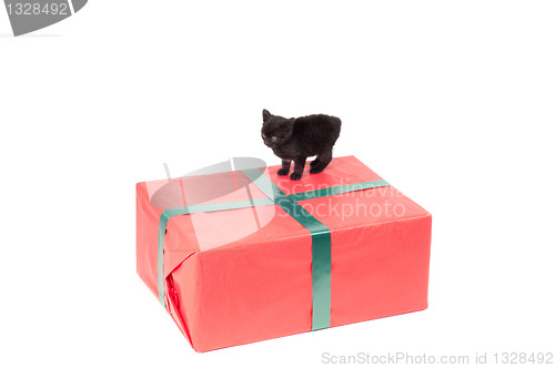 Image of Christmas present and kitten