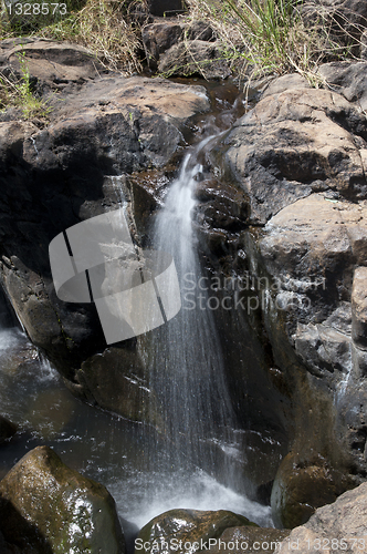 Image of Agasthiyar falls