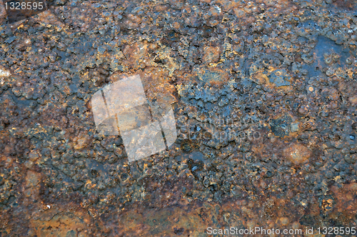 Image of Rust