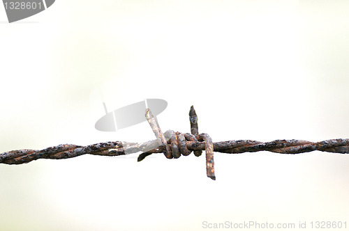 Image of barbed wire