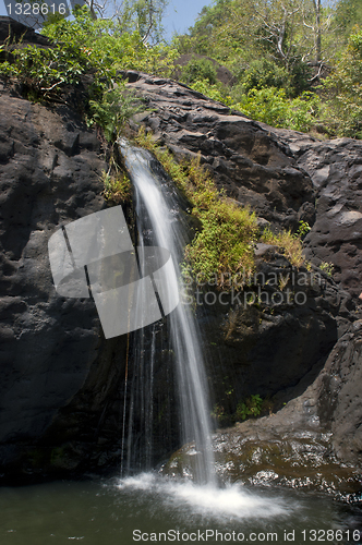 Image of Agasthiyar falls