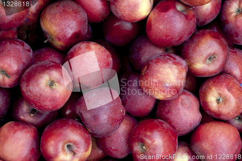 Image of apple