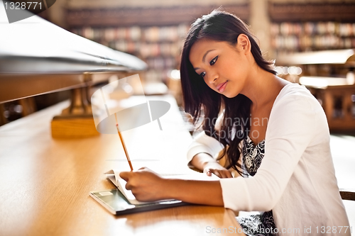 Image of Asian student studying