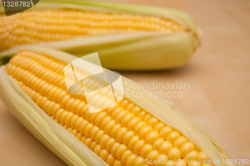 Image of Corn Cobs