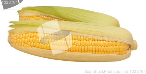 Image of Corn Cobs