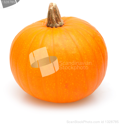 Image of Pumkin