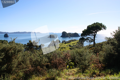 Image of Coromandel, New Zealand