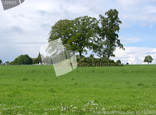 Image of Viking mound 2