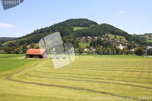 Image of Countryside in Switzerland