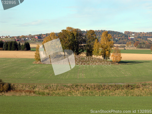 Image of Viking mound