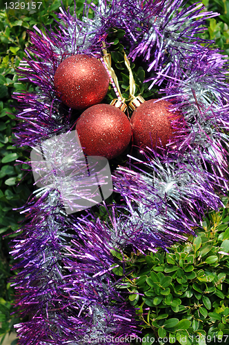 Image of Christmas Decorations on Tropical Plant