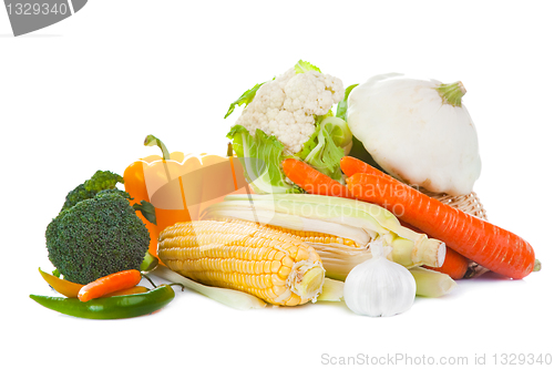 Image of Still-life of autumn harvest