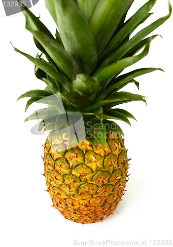 Image of Pineapple