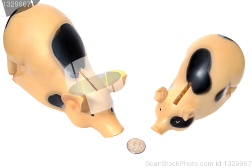 Image of Two pigs have found a coin