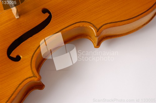 Image of Violin curves