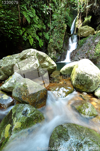 Image of stream in jungle