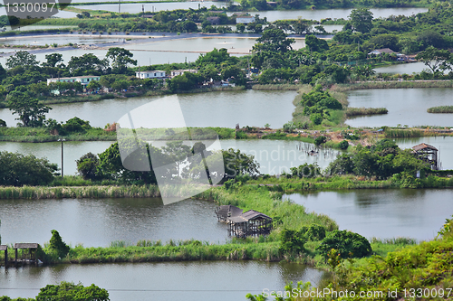 Image of Fish Hatchery Pond