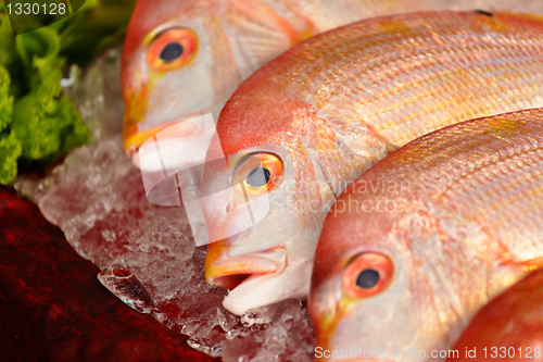 Image of fish for sale