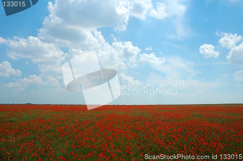 Image of Natural summer beauty