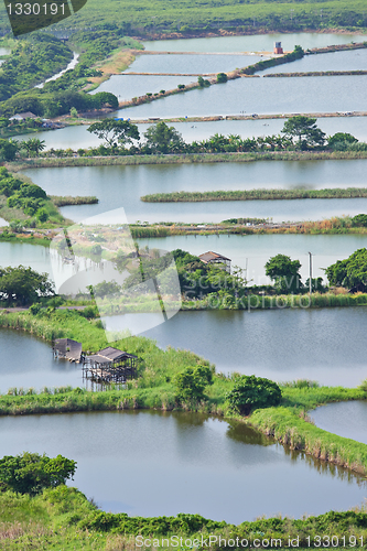 Image of Fish Hatchery Pond