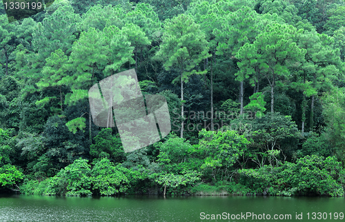 Image of lake with wood