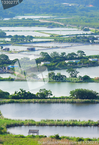 Image of Fish Hatchery