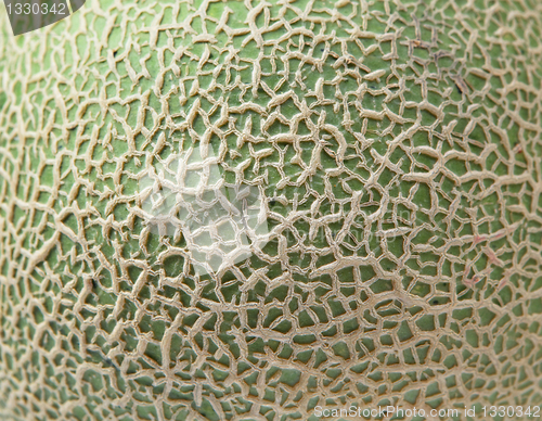 Image of cantaloupe melon peel