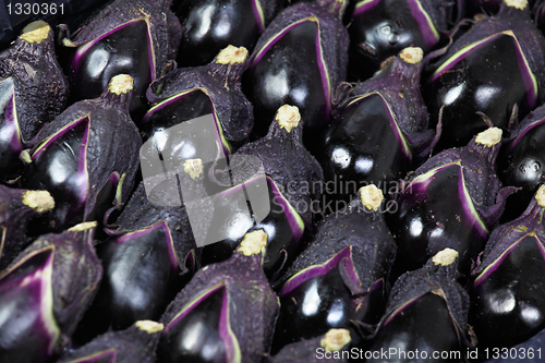 Image of egg plants