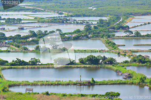 Image of Fish Hatchery