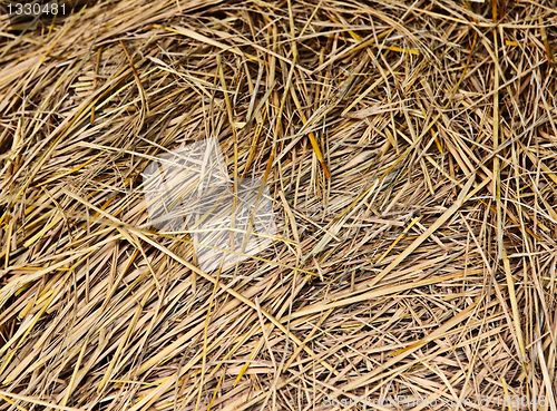 Image of hay background