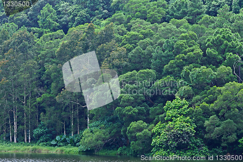 Image of lake with wood