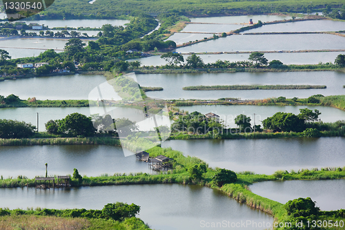 Image of Fish Hatchery Pond