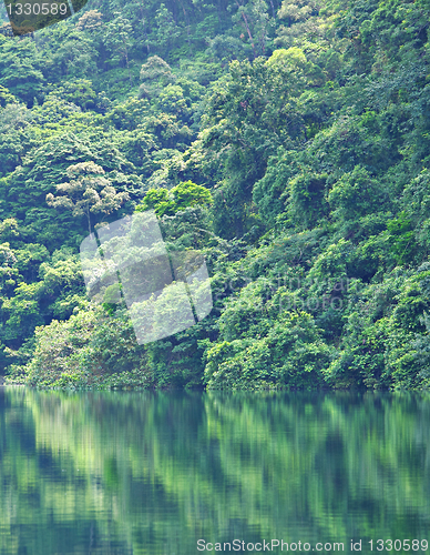 Image of lake with tree