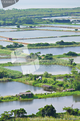 Image of Fish Hatchery Pond