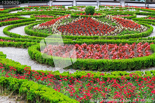 Image of Park flowers