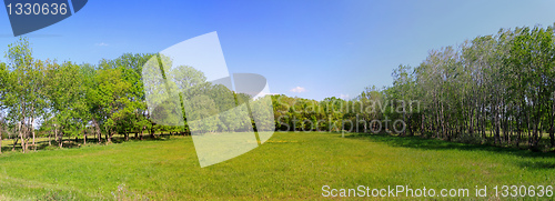Image of Meadow