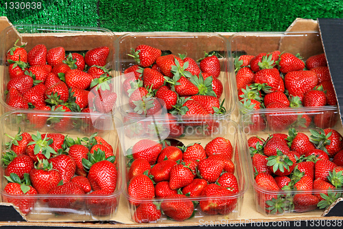 Image of Strawberries