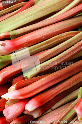Image of Rhubarbs
