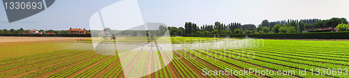 Image of Irrigation field panorama