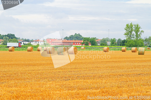 Image of Rolling haystack field