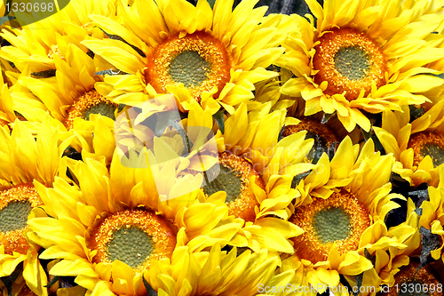Image of  