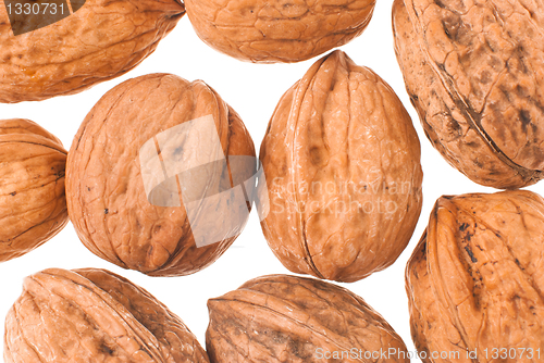 Image of Walnuts in closeup 