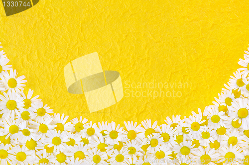 Image of Group of Chamomile flower heads over handmade paper – frame