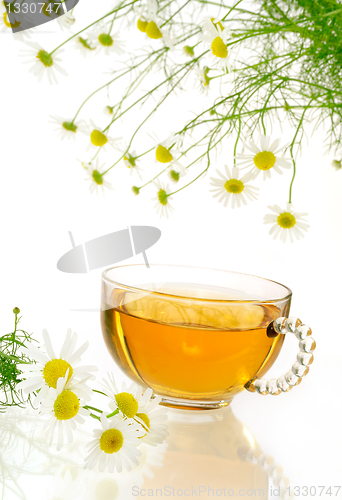 Image of Cup of chamomile tea with fresh chamomilla flowers over white background