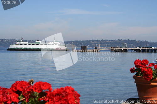 Image of Docking Ferry