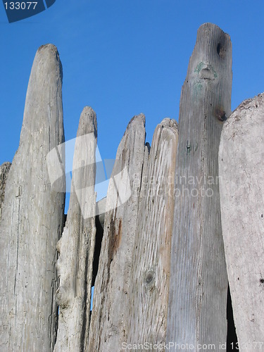 Image of Driftwood and Blue Sky