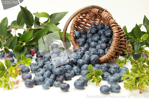 Image of Blueberries