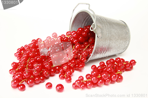 Image of Red currants